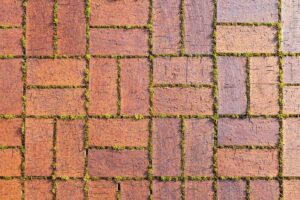 Mech na kostce brukowej